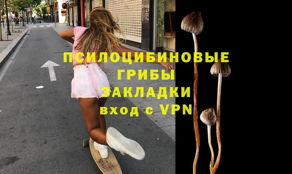 крисы Алексин