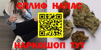apvp Ярославль