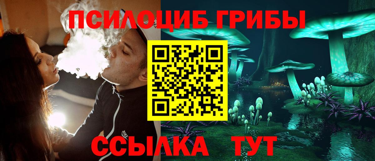 Галлюциногенные грибы Cubensis Курганинск