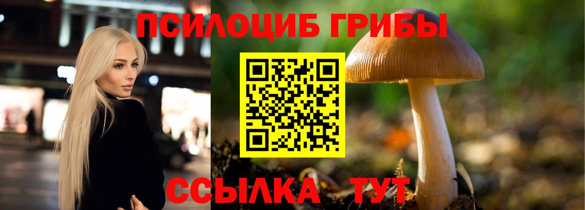 Курганинск  Галлюциногенные грибы Psilocybine cubensis  Вход с VPN 